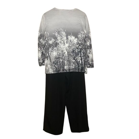 Alfred Dunner Gray Long Sleeve Top Size L & Trouser Pants Size 12 Coords Set - Picture 4 of 12